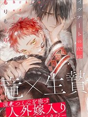 言情小说
